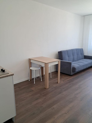 Сдам однокомнатную (1-комн.) квартиру, Муринская дор, 29, Санкт-Петербург г