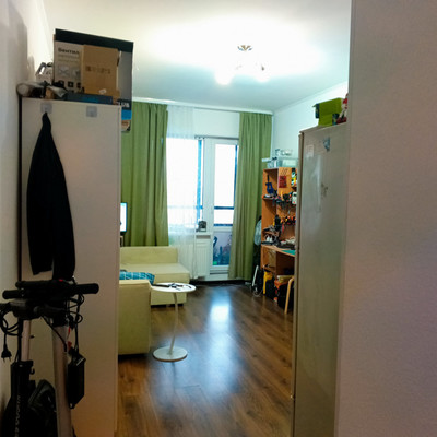 Продам однокомнатную (1-комн.) квартиру, Плесецкая ул, 20к1, Санкт-Петербург г