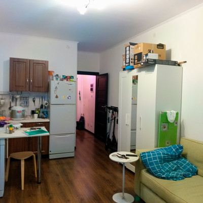 Продам однокомнатную (1-комн.) квартиру, Плесецкая ул, 20к1, Санкт-Петербург г