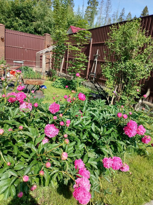 Продам дом, Лесная ул, 123, Новая д, 0 км от города