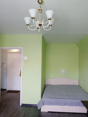 Сдам однокомнатную (1-комн.) квартиру, Наличная ул, 36к1, Санкт-Петербург г