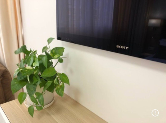 Сдам однокомнатную (1-комн.) квартиру, Конгрессная ул, 15, Краснодар г