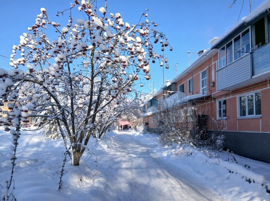 Продам двухкомнатную (2-комн.) квартиру, Центральная ул, 1, Безлычное д