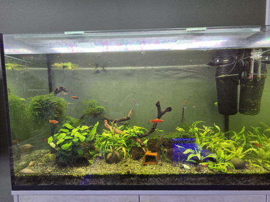 Продам трехкомнатную (3-комн.) квартиру, Чернякова ул, 3, Йошкар-Ола г