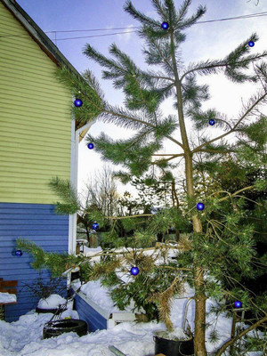 Продам дом, 1-я (Оптимист тер. СНТ) линия, 38, Дунай массив, 0 км от города