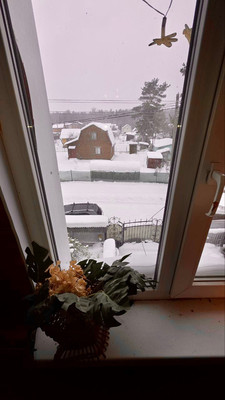 Продам дом, 1-я (Оптимист тер. СНТ) линия, 38, Дунай массив, 0 км от города