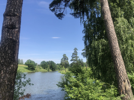 Продам однокомнатную (1-комн.) квартиру, Центральная ул, 33, Пролетарский рп