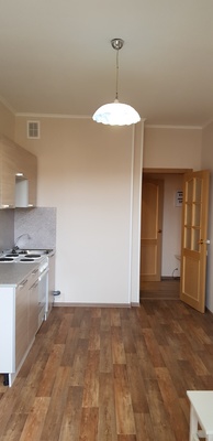 Сдам двухкомнатную (2-комн.) квартиру, Туристская ул, 10к1, Санкт-Петербург г