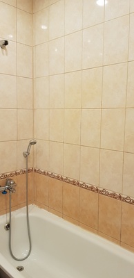 Сдам двухкомнатную (2-комн.) квартиру, Туристская ул, 10к1, Санкт-Петербург г