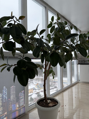 Продам трехкомнатную (3-комн.) квартиру, ГСК-2 Юбилейный тер, 2А, Подольской машинно-испытательной станции п