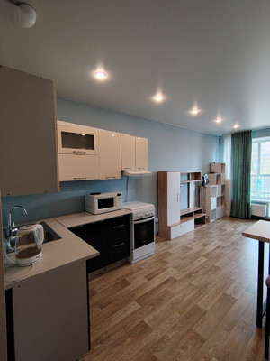 Сдам однокомнатную (1-комн.) квартиру, Полевая Сабировская ул, 45к1, Санкт-Петербург г