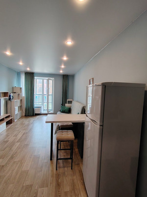 Сдам однокомнатную (1-комн.) квартиру, Полевая Сабировская ул, 45к1, Санкт-Петербург г