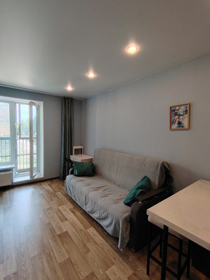 Сдам однокомнатную (1-комн.) квартиру, Полевая Сабировская ул, 45к1, Санкт-Петербург г