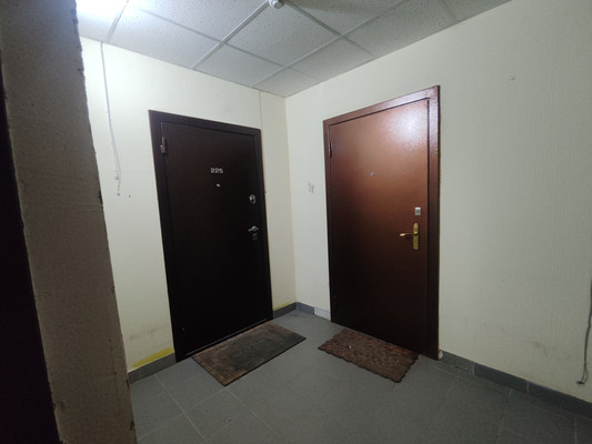 Сдам однокомнатную (1-комн.) квартиру, Шишкова ул, 70, Воронеж г