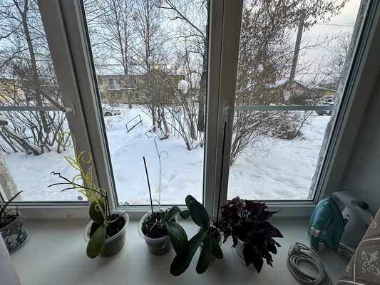 Продам двухкомнатную (2-комн.) квартиру, Культуры ул, 5, Красный Бор гп