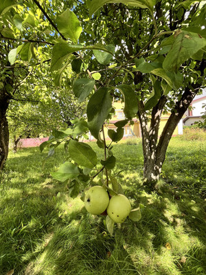 Продам коттедж, Пруды ул, 20, Савелово д, 0 км от города