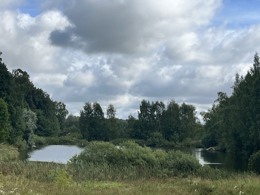 Продам коттедж, Пруды ул, 20, Савелово д, 0 км от города