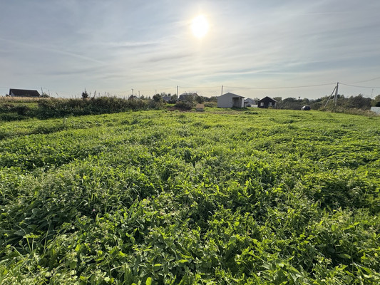 Продам участок 15 соток, ИЖС, Бунятино д, 0 км от города