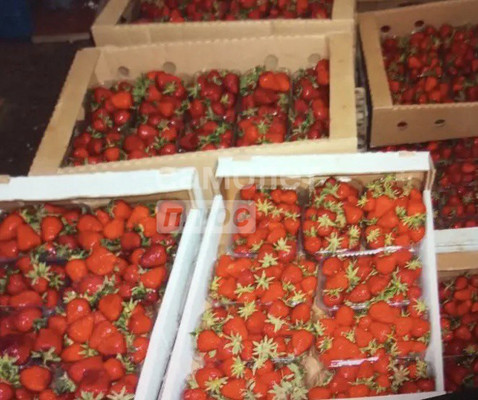 Продам дом, Водный х, 0 км от города