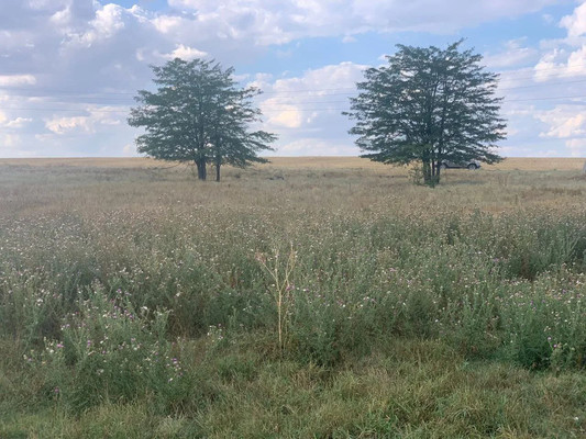 Продам участок 15 соток, ИЖС, Красное с, 0 км от города