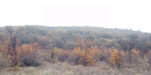 Продам участок 8 соток, ИЖС, Восточный мкр, Лучистое с, 0 км от города