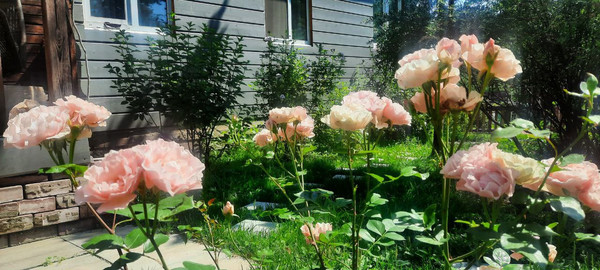 Продам дом, 67, Новошихово д, 0 км от города