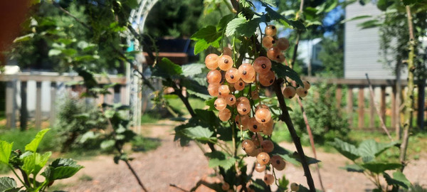 Продам дом, 67, Новошихово д, 0 км от города