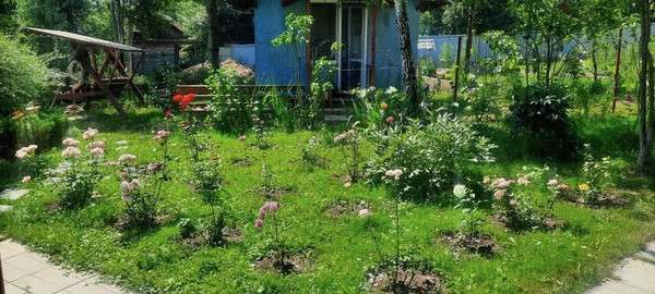 Продам дом, 67, Новошихово д, 0 км от города