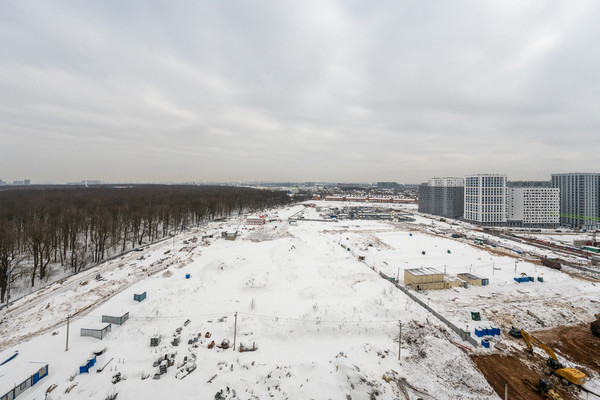 Продам двухкомнатную (2-комн.) квартиру, Лобановский Лес ул, 7, Сосенское п