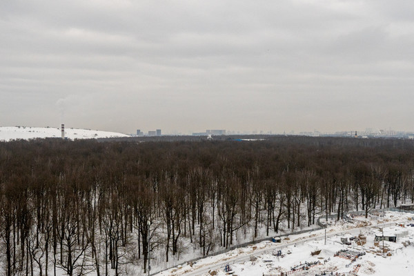 Продам двухкомнатную (2-комн.) квартиру, Лобановский Лес ул, 7, Сосенское п