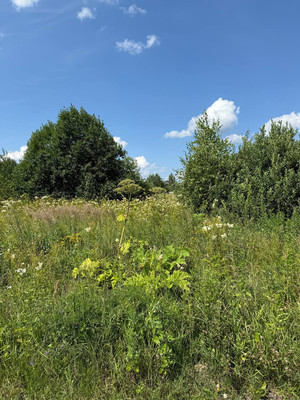 Продам участок 13,22 соток, ИЖС, Солнечная ул, Еремеево д, 0 км от города