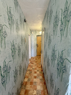 Продам однокомнатную (1-комн.) квартиру, Клубная ул, 29, Бакшеево п