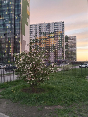 Продам однокомнатную (1-комн.) квартиру, Воронцовский б-р, 21к3, Мурино п