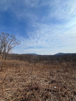 Продам участок 15 соток, Фермерское хоз., Сакура-2 сдт сад, Фокино г, 0 км от города