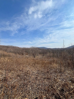 Продам участок 15 соток, Фермерское хоз., Сакура-2 сдт сад, Фокино г, 0 км от города