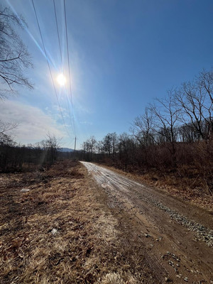 Продам участок 15 соток, Фермерское хоз., Сакура-2 сдт сад, Фокино г, 0 км от города