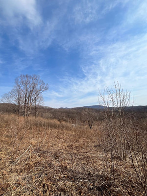 Продам участок 15 соток, Фермерское хоз., Сакура-2 сдт сад, Фокино г, 0 км от города