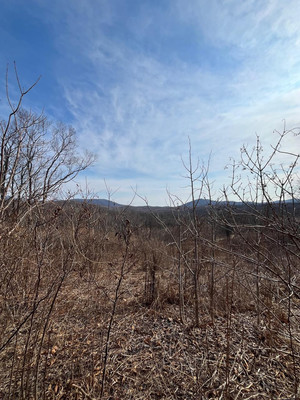 Продам участок 15 соток, Фермерское хоз., Сакура-2 сдт сад, Фокино г, 0 км от города