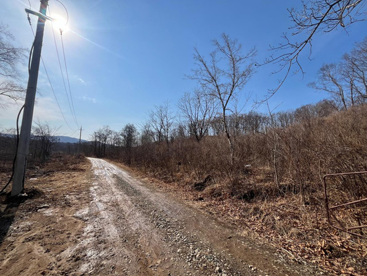 Продам участок 15 соток, Фермерское хоз., Сакура-2 сдт сад, Фокино г, 0 км от города