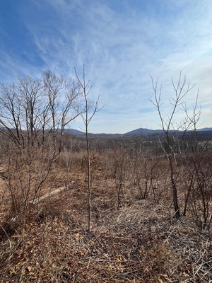 Продам участок 15 соток, Фермерское хоз., Сакура-2 сдт сад, Фокино г, 0 км от города