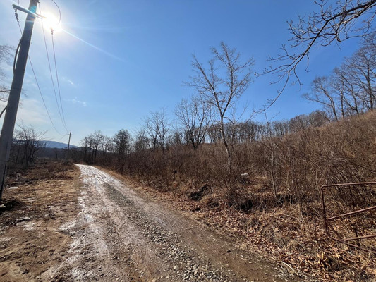 Продам участок 15 соток, Фермерское хоз., Сакура-2 сдт сад, Фокино г, 0 км от города