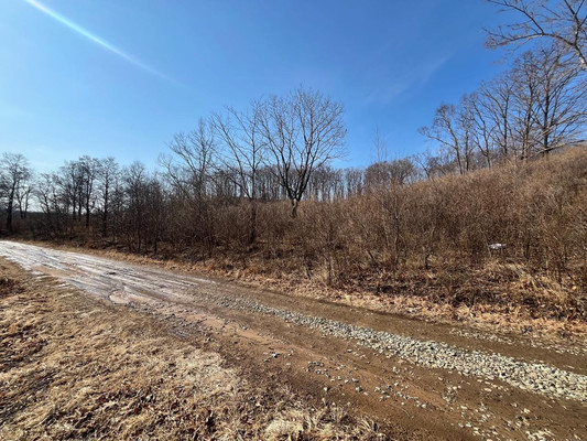 Продам участок 15 соток, Фермерское хоз., Сакура-2 сдт сад, Фокино г, 0 км от города