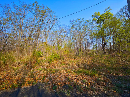 Продам участок 20 соток, ИЖС, Горная ул, 20, Фокино г, 0 км от города