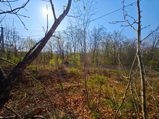 Продам участок 20 соток, ИЖС, Горная ул, 20, Фокино г, 0 км от города