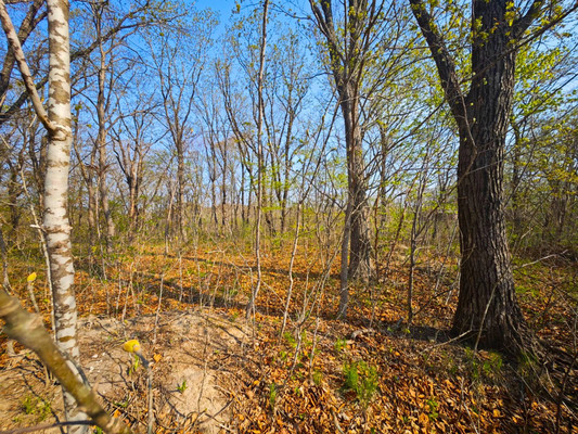 Продам участок 20 соток, ИЖС, Горная ул, 20, Фокино г, 0 км от города