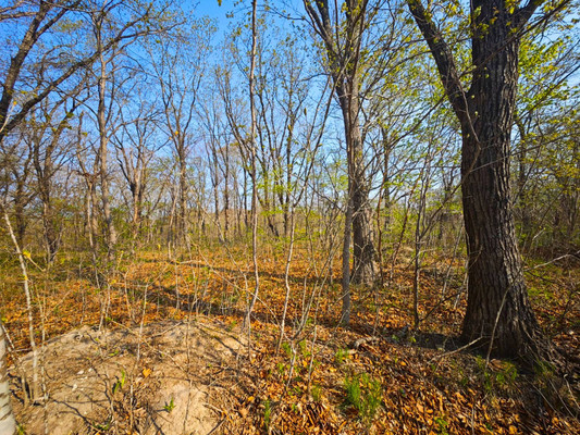 Продам участок 20 соток, ИЖС, Горная ул, 20, Фокино г, 0 км от города