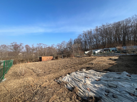 Продам участок 10 соток, Фермерское хоз., Домашлино ул, 12, Фокино г, 0 км от города