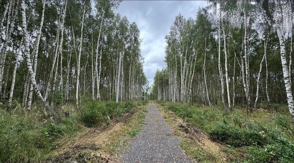 Продам участок 10 соток, ИЖС, Гнетово д, 0 км от города