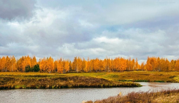 Продам участок 12,05 соток, ИЖС, Глебово с, 0 км от города