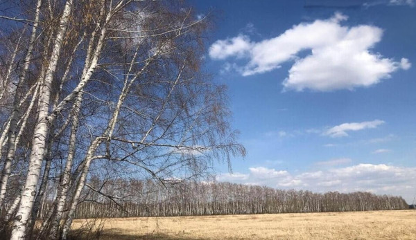 Продам участок 10,62 соток, ИЖС, Вишневка д, 0 км от города